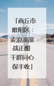 商丘市睢阳区：麦浪滚滚战正酣 干群同心保丰收